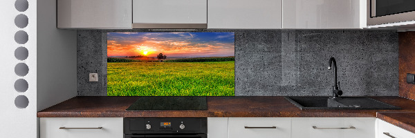 Cooker splashback Sunset meadow