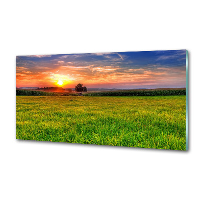 Cooker splashback Sunset meadow