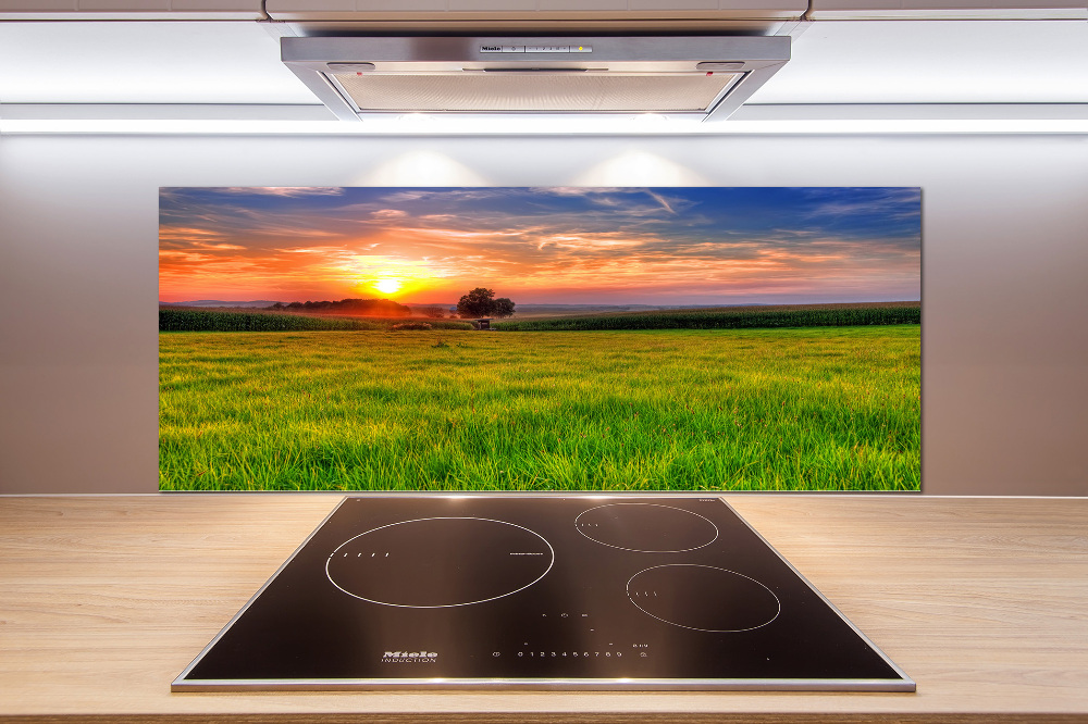 Cooker splashback Sunset meadow