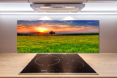 Cooker splashback Sunset meadow