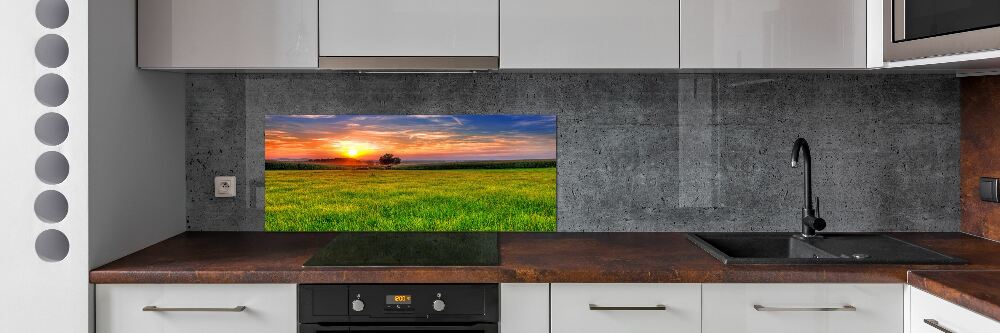 Cooker splashback Sunset meadow