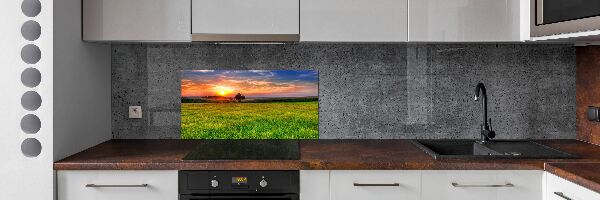 Cooker splashback Sunset meadow