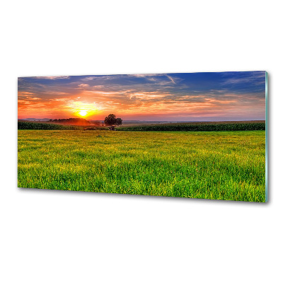 Cooker splashback Sunset meadow