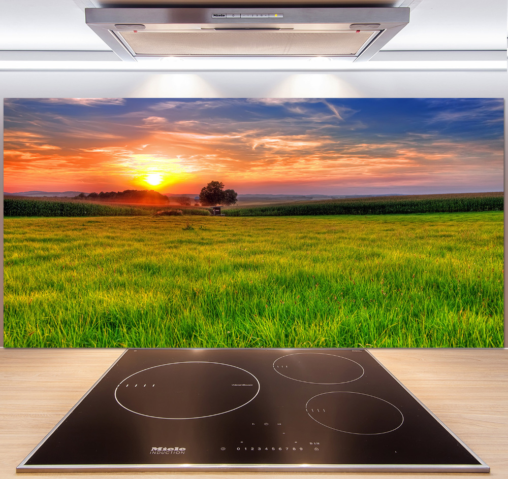 Cooker splashback Sunset meadow