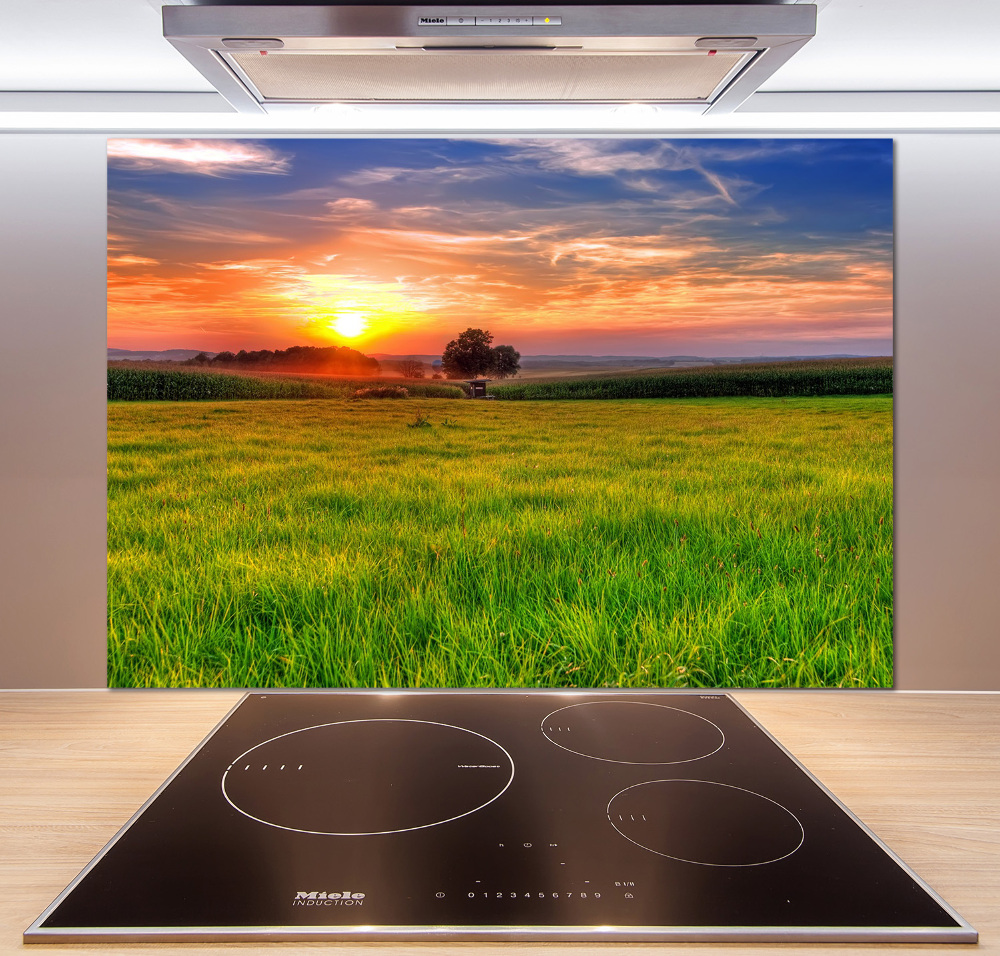 Cooker splashback Sunset meadow