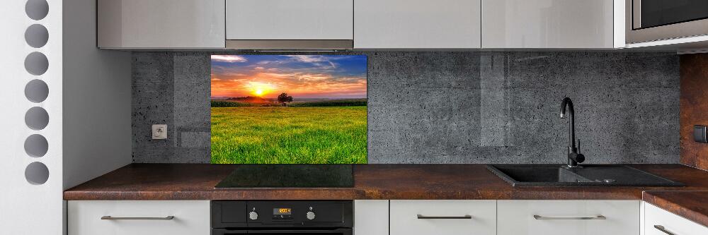 Cooker splashback Sunset meadow