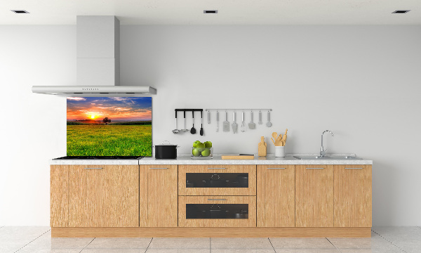 Cooker splashback Sunset meadow