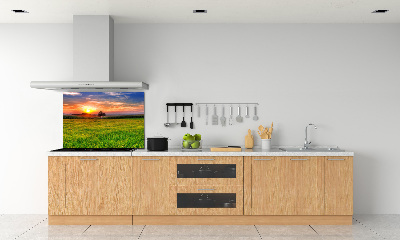 Cooker splashback Sunset meadow