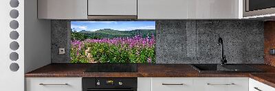 Cooker splashback Green hills