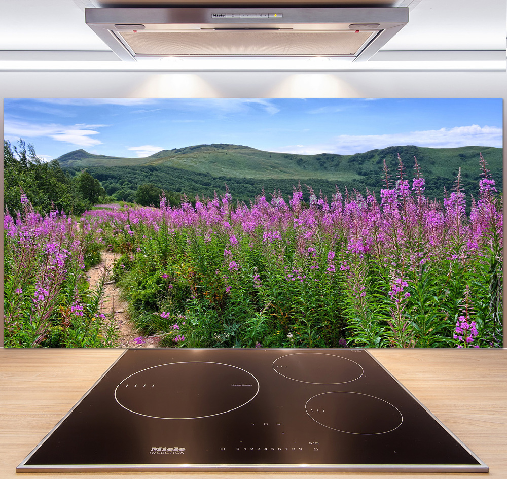 Cooker splashback Green hills