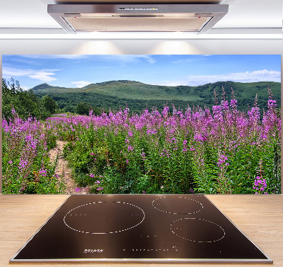 Cooker splashback Green hills