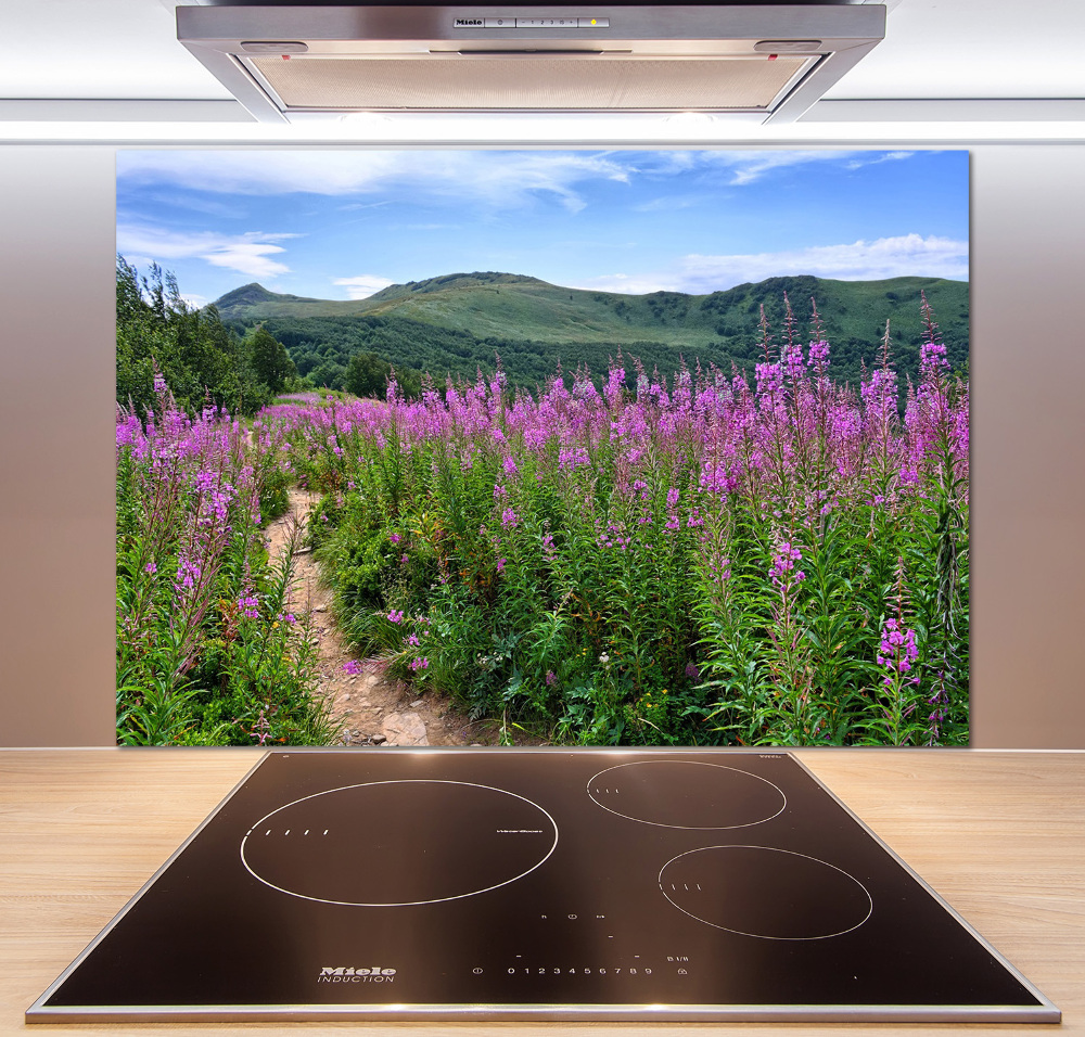 Cooker splashback Green hills