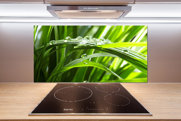 Kitchen splashback Drops on the grass