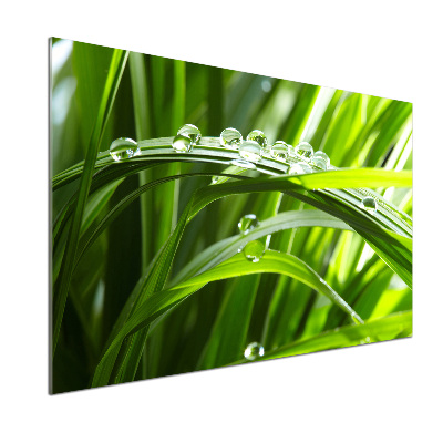 Kitchen splashback Drops on the grass