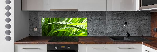 Kitchen splashback Drops on the grass