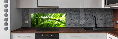 Kitchen splashback Drops on the grass