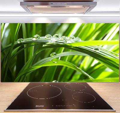 Kitchen splashback Drops on the grass