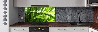 Kitchen splashback Drops on the grass