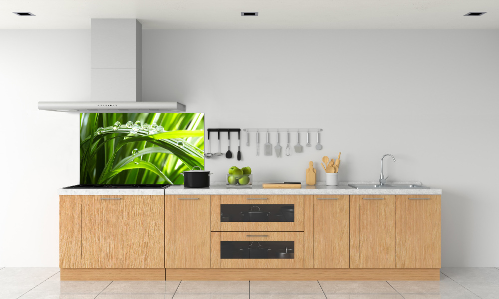 Kitchen splashback Drops on the grass