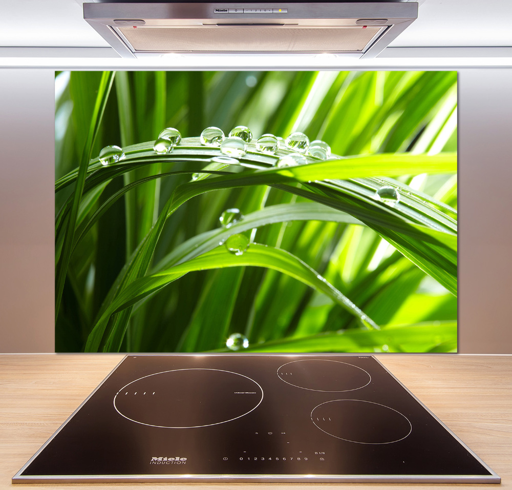 Kitchen splashback Drops on the grass