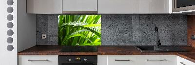 Kitchen splashback Drops on the grass