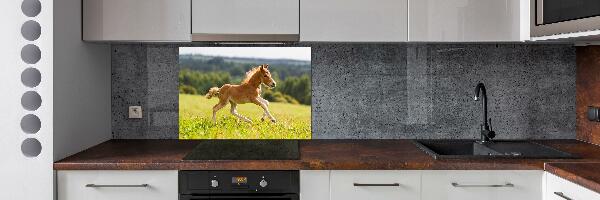 Cooker splashback Foal at a gallop