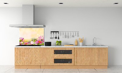 Kitchen splashback Macs