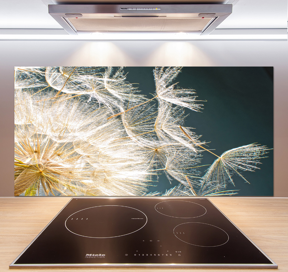 Hob splashback Dandelion seeds