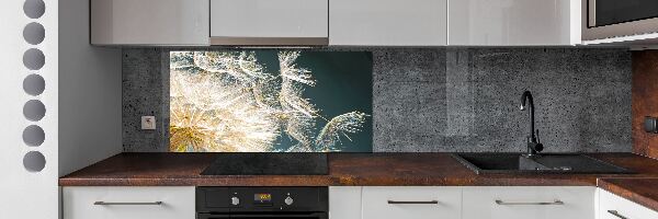 Hob splashback Dandelion seeds