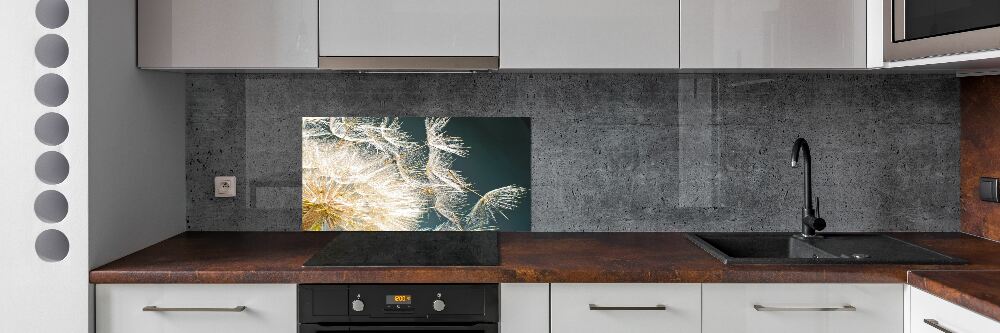 Hob splashback Dandelion seeds