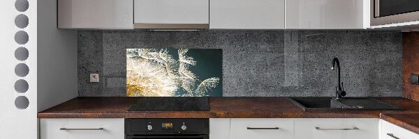 Hob splashback Dandelion seeds