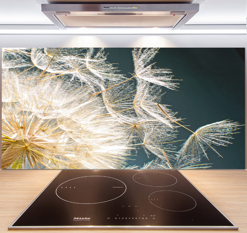 Hob splashback Dandelion seeds