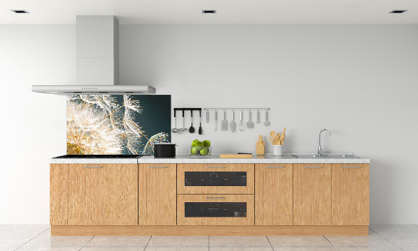 Hob splashback Dandelion seeds