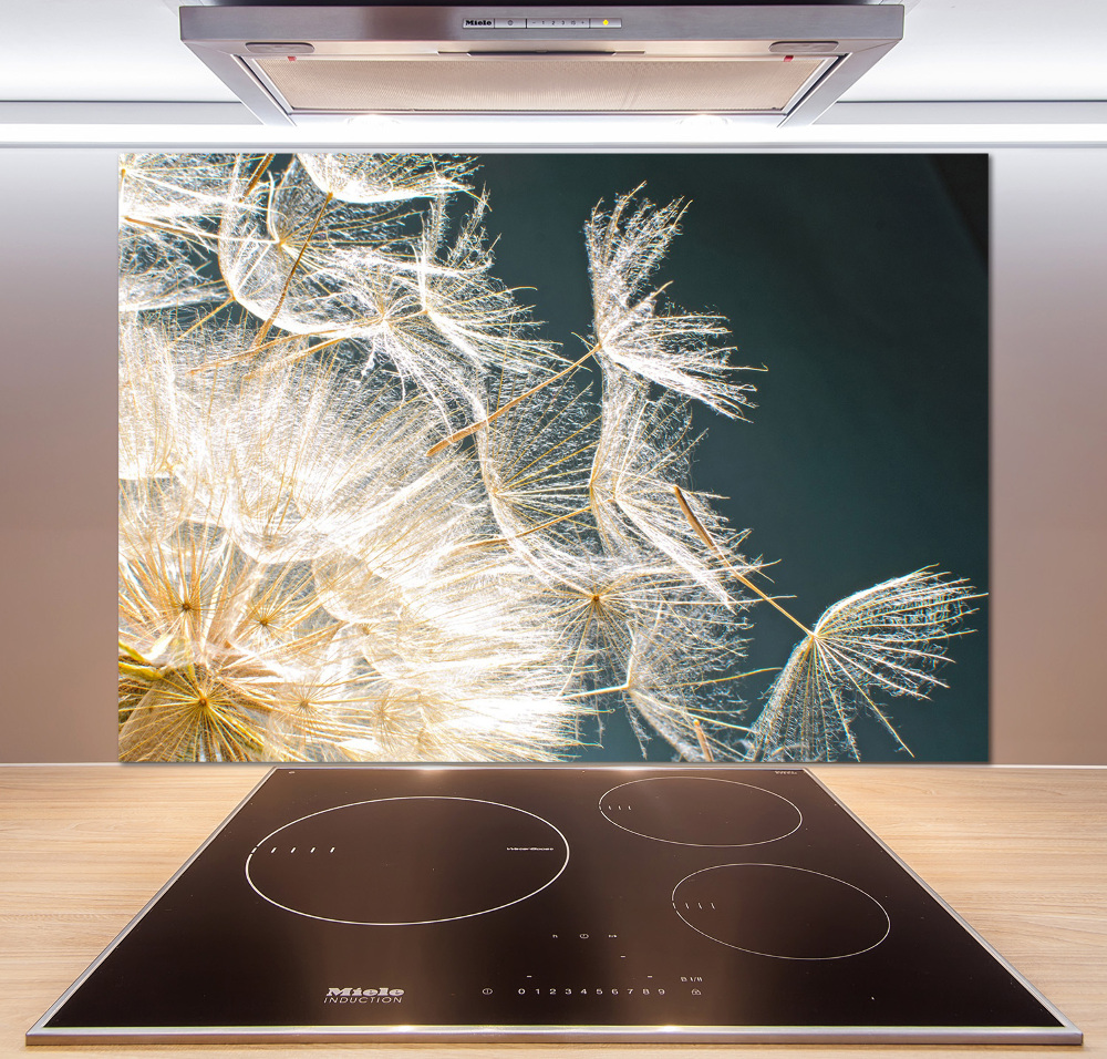 Hob splashback Dandelion seeds