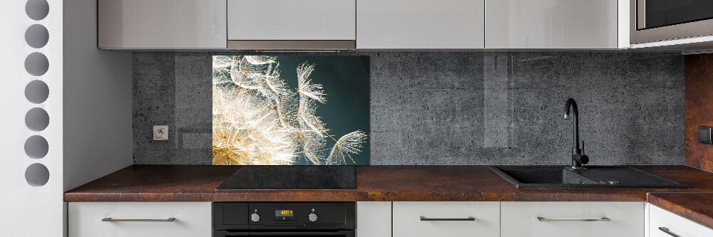 Hob splashback Dandelion seeds