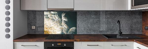 Hob splashback Dandelion seeds