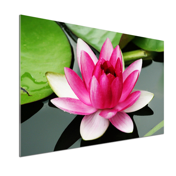 Kitchen wall panels water lily