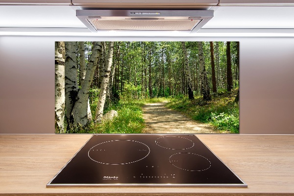 Cooker splashback Path in the forest