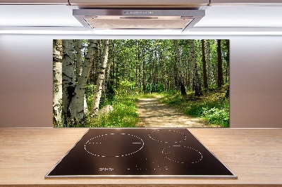 Cooker splashback Path in the forest