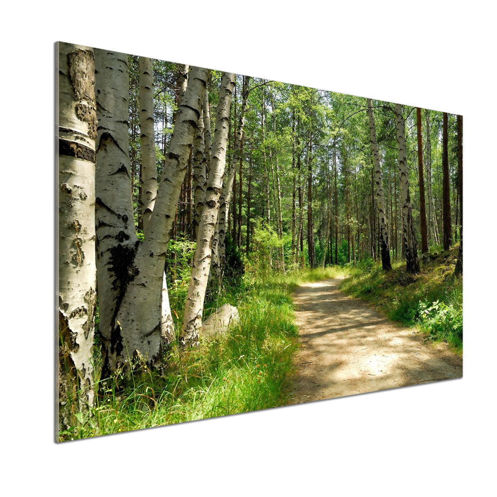 Cooker splashback Path in the forest