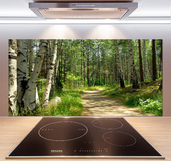 Cooker splashback Path in the forest