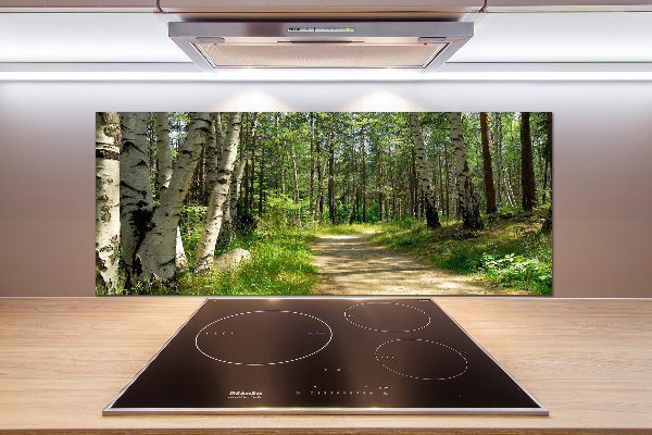 Cooker splashback Path in the forest