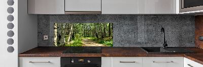 Cooker splashback Path in the forest