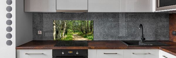 Cooker splashback Path in the forest