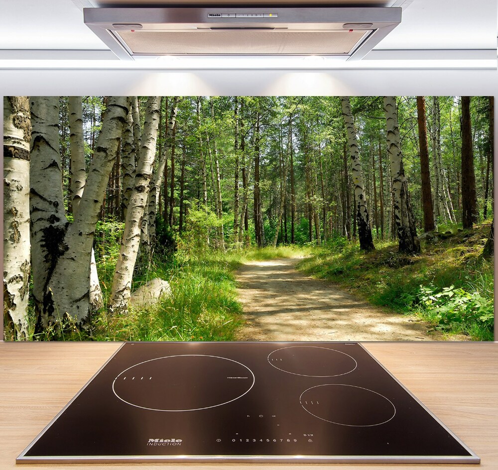 Cooker splashback Path in the forest