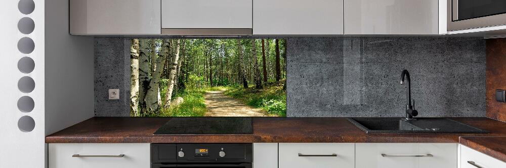 Cooker splashback Path in the forest