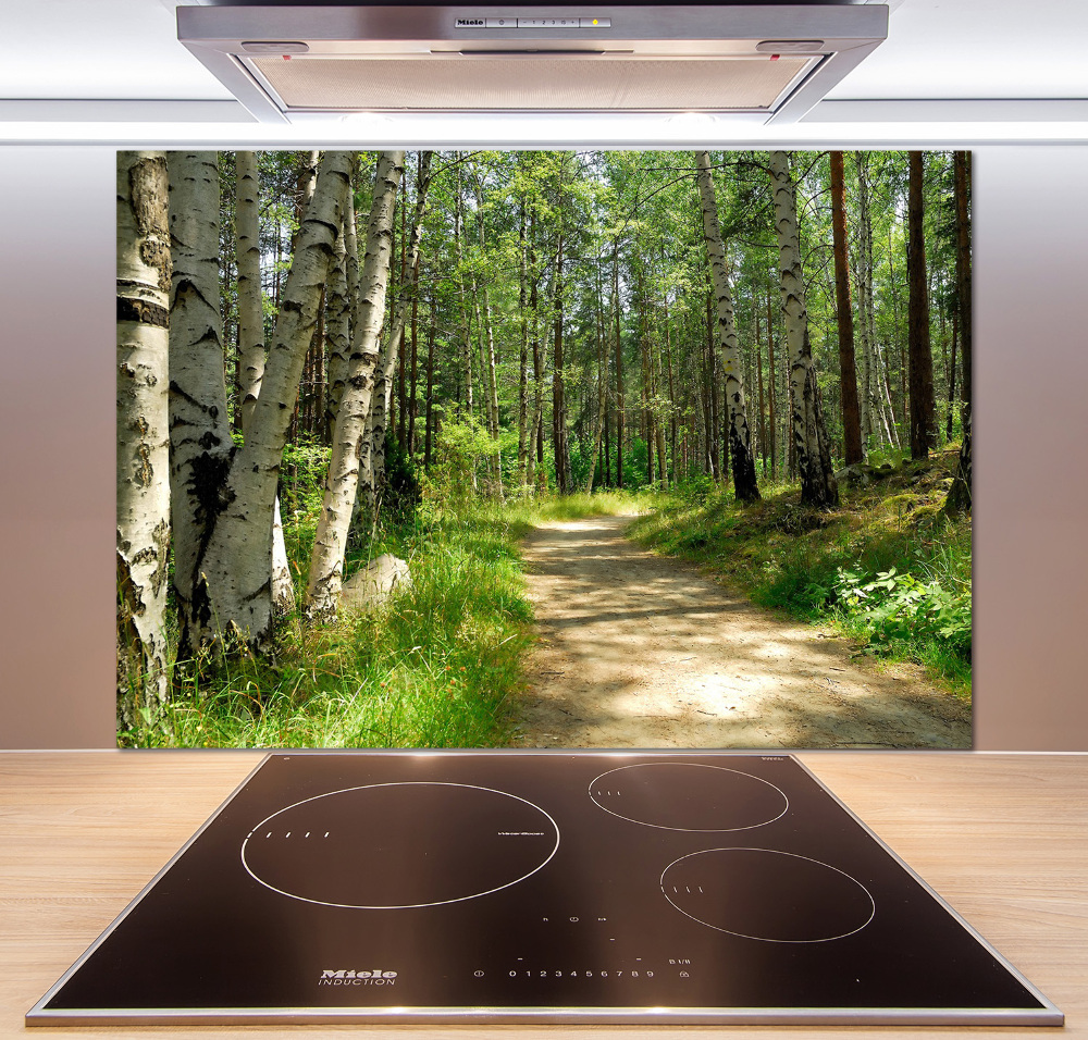 Cooker splashback Path in the forest