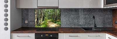 Cooker splashback Path in the forest