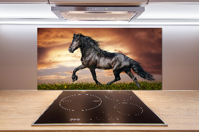 Cooker splashback Trotting horse