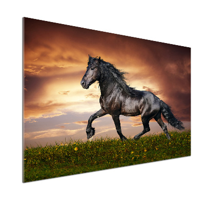 Cooker splashback Trotting horse